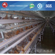 Poultry Farming Equipment Layer Chicken Cage for Africa